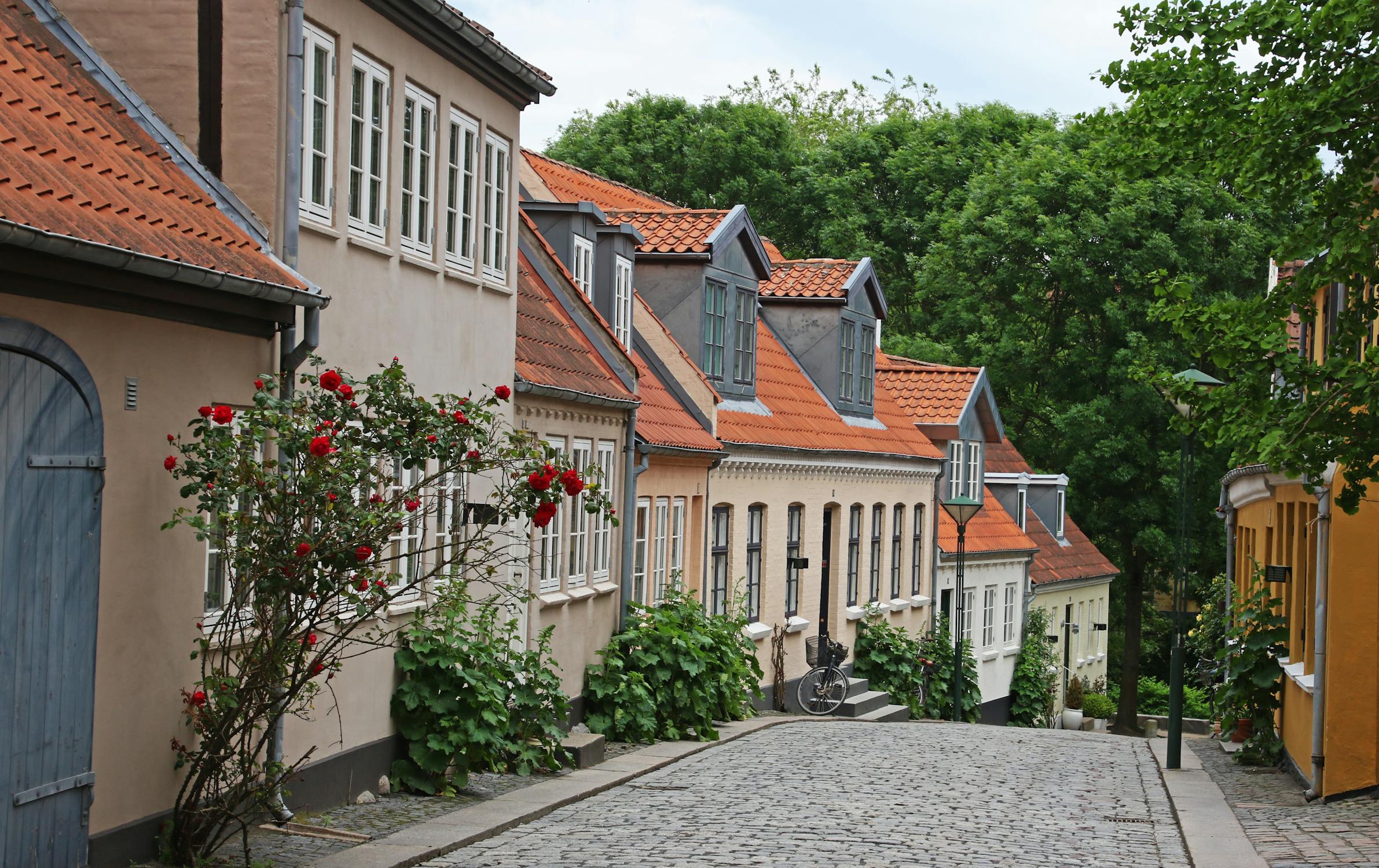 Odense Bedemand